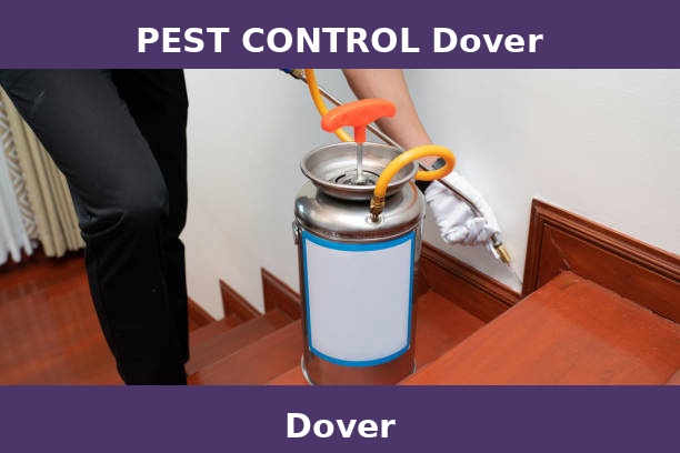 PEST CONTROL Dover